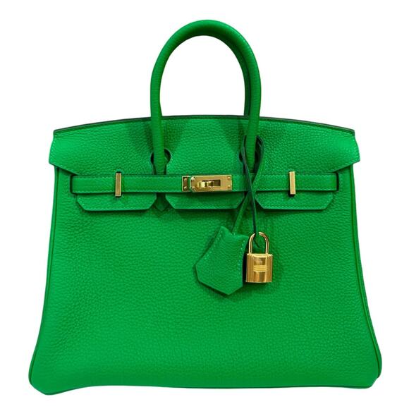 Hermes Birkin 25 Bamboo Bambou Green Togo Leather Gold Hardware Handbag - Picture 1 of 8